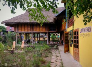 xoi-famstay-lam-thuong-9