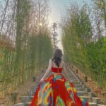 con-duong-truc-thung-lung-xanh-sapa