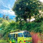 thung-lung-xanh-sa-pa-3