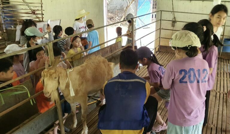 xay-dung-he-thong-du-lich-nong-thon