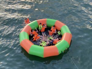 tour-cat-ba-2-ngay-dem