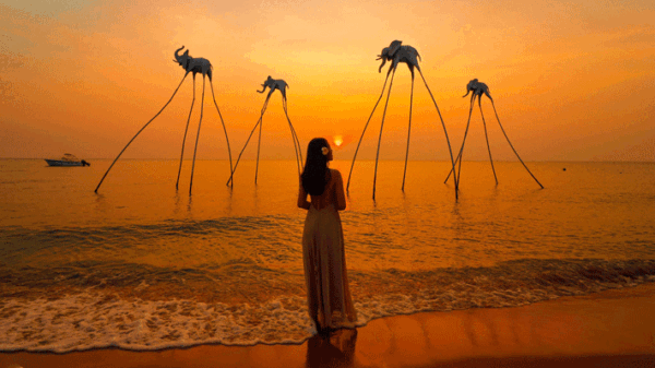 Tour-hoang-hong-phu-quoc