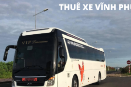 thue-xe-vinh-tuong-vinh-phuc1