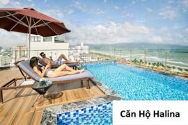 Can-ho-Halina-da-nang