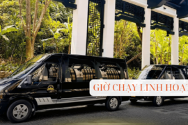 ve-xe-limousine-hue-da-nang (1)