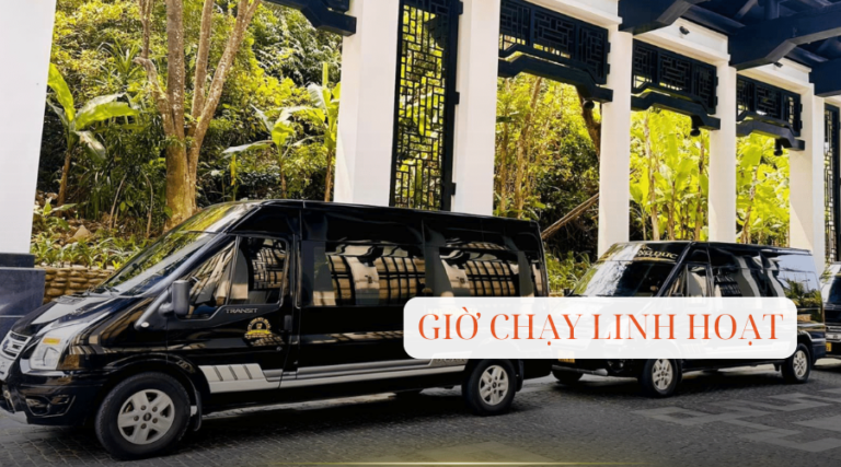 ve-xe-limousine-hue-da-nang (1)
