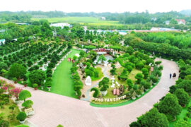 khu-sinh-thai-dung-tan