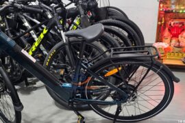 thue-xe-dap-tro-luc-hue (4)