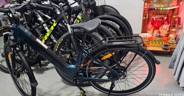 thue-xe-dap-tro-luc-hue (4)